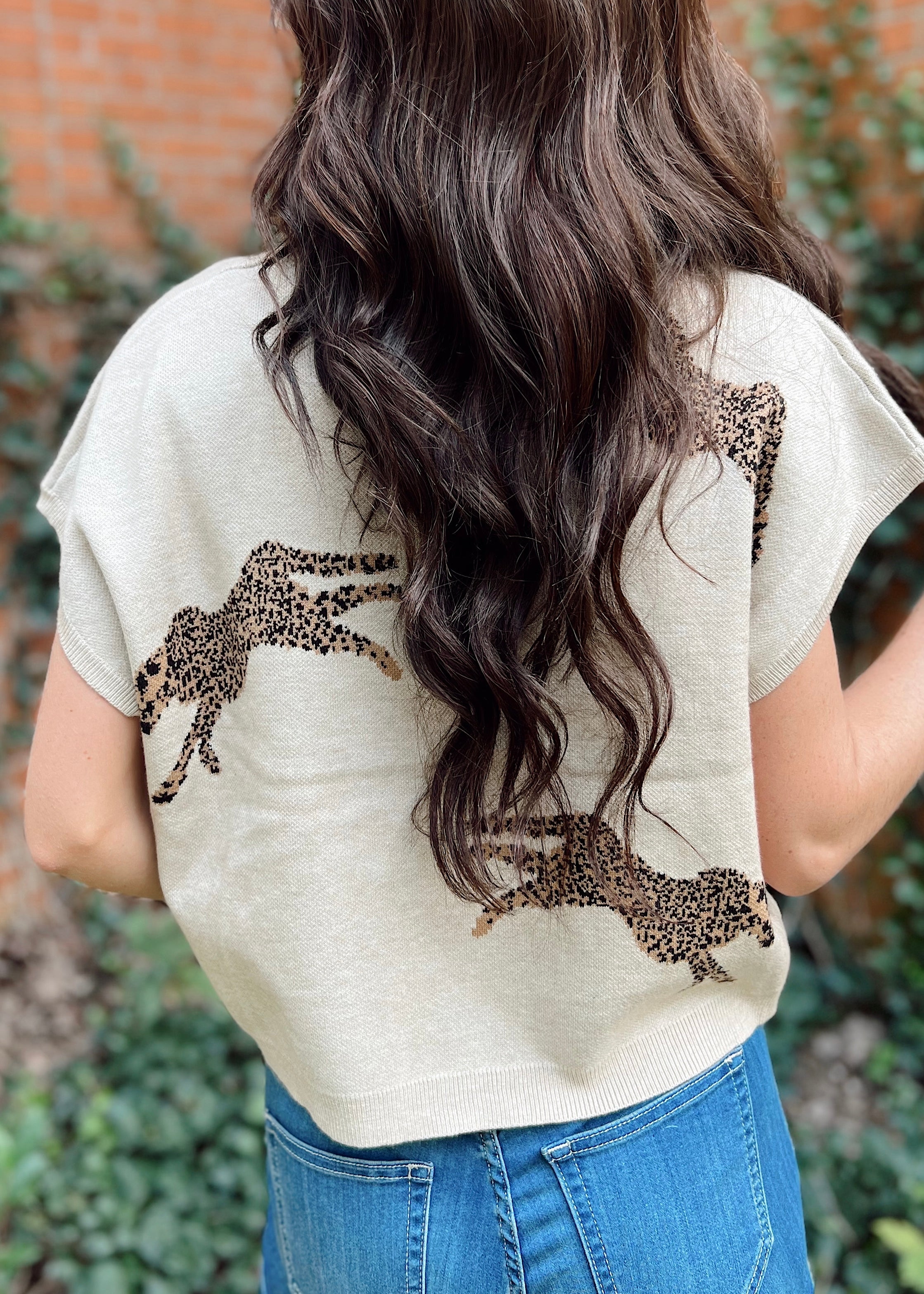 Cheetah Print Sweater Top - Oatmeal