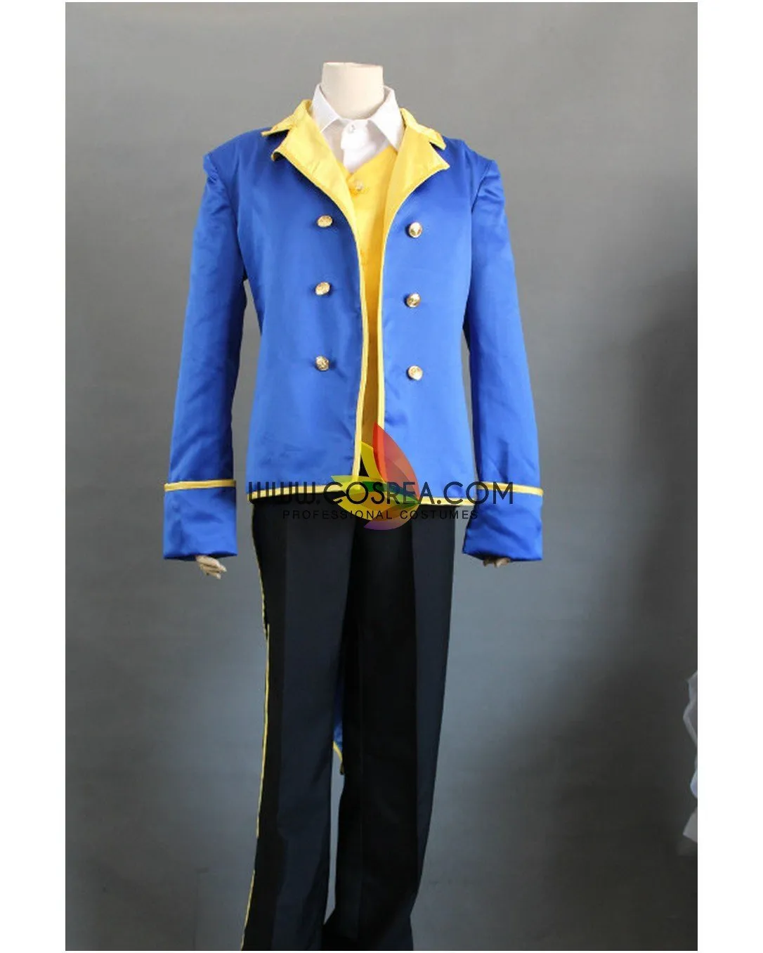 Classic Satin Beauty And Beast Prince Cosplay Costume