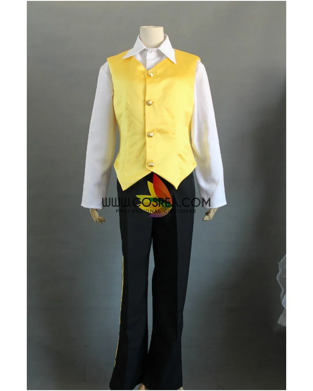 Classic Satin Beauty And Beast Prince Cosplay Costume