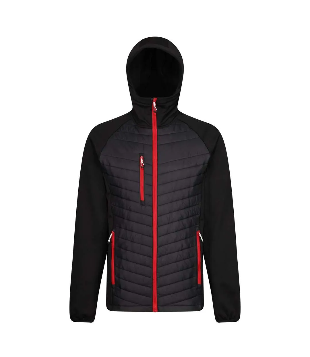 Mens navigate quilted hybrid jacket black/classic red Regatta