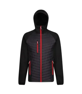 Mens navigate quilted hybrid jacket black/classic red Regatta