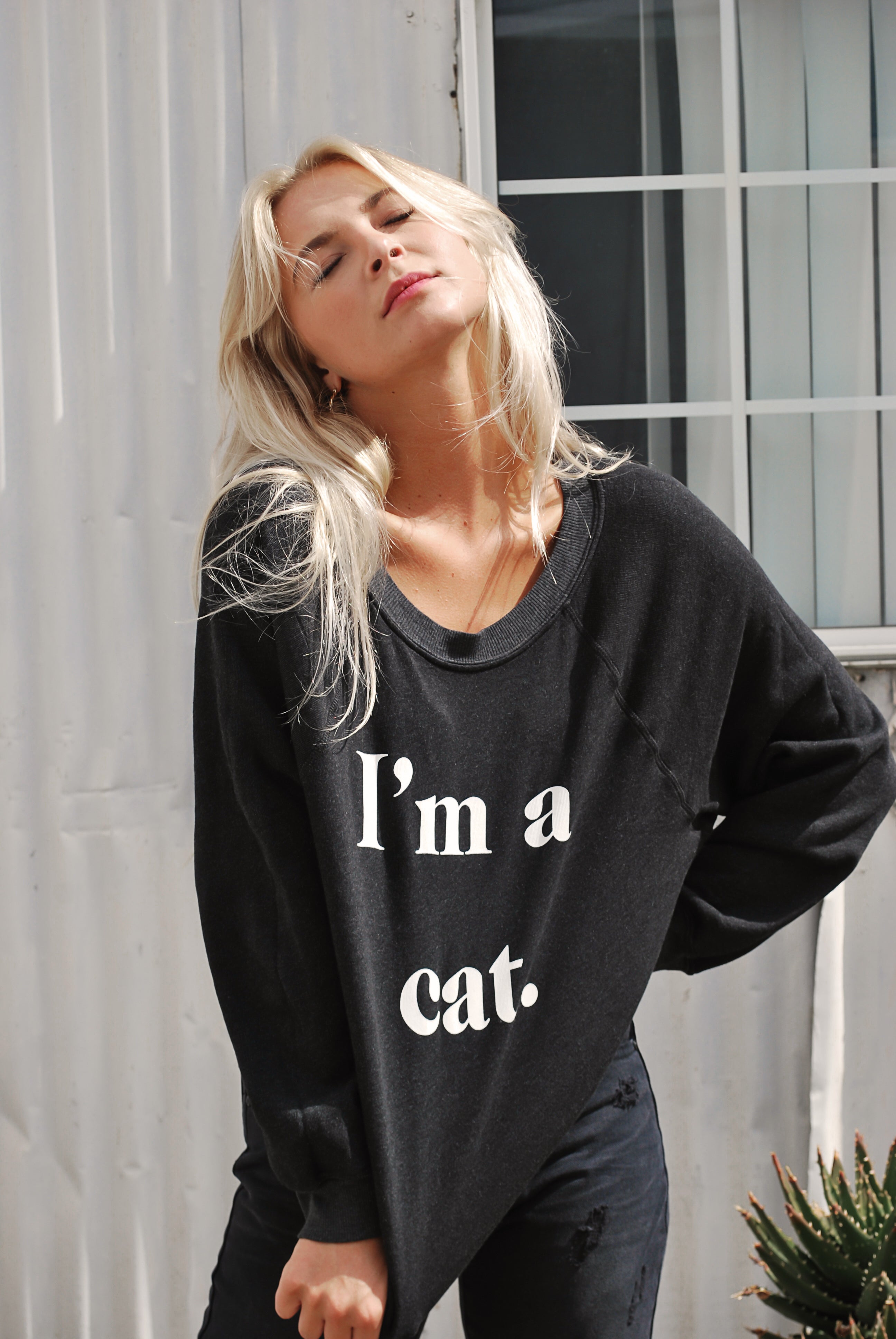 Wildfox Cat Sommers Sweater