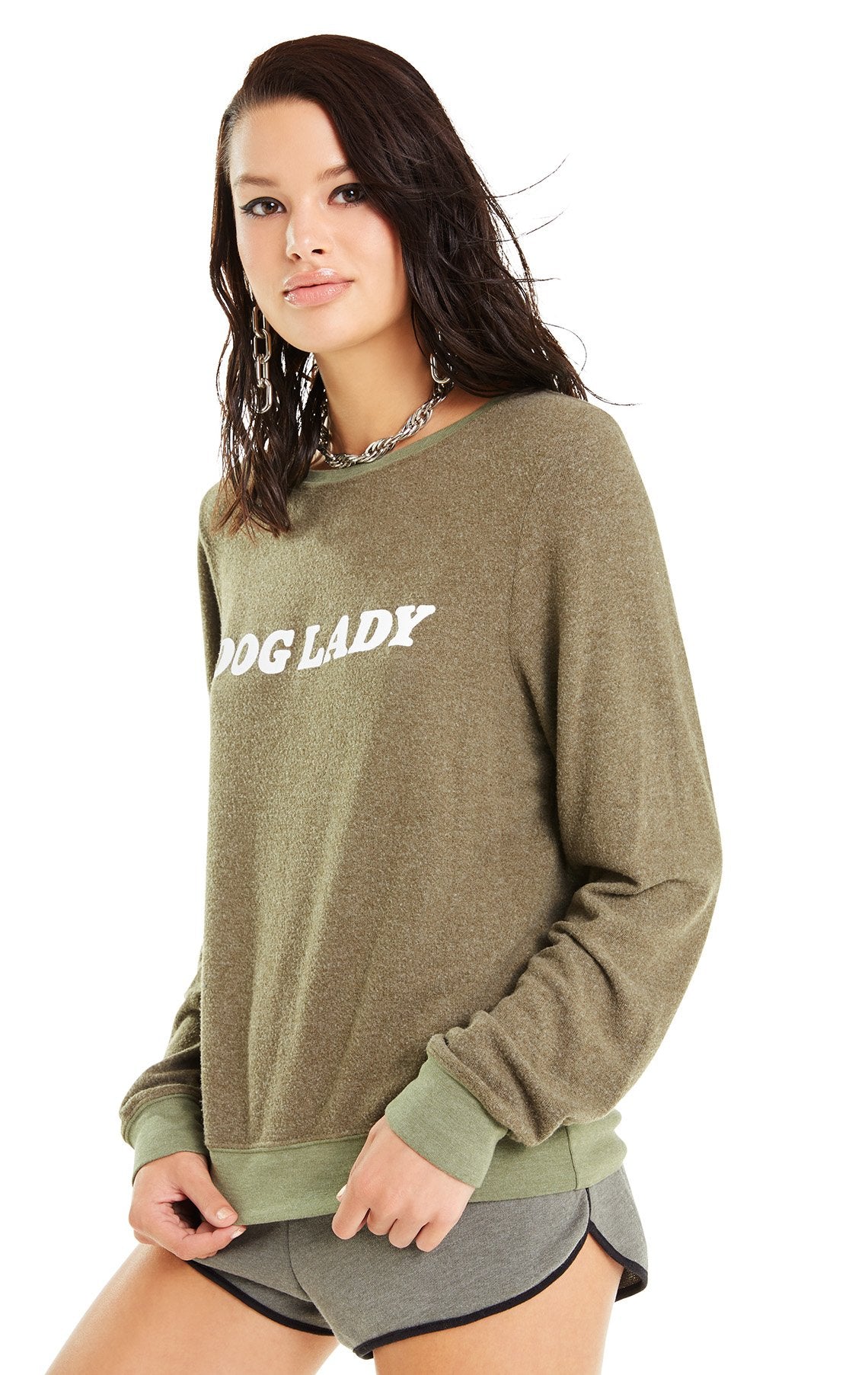 Wildfox Dog Lady Baggy Beach Jumper Sweater for sale