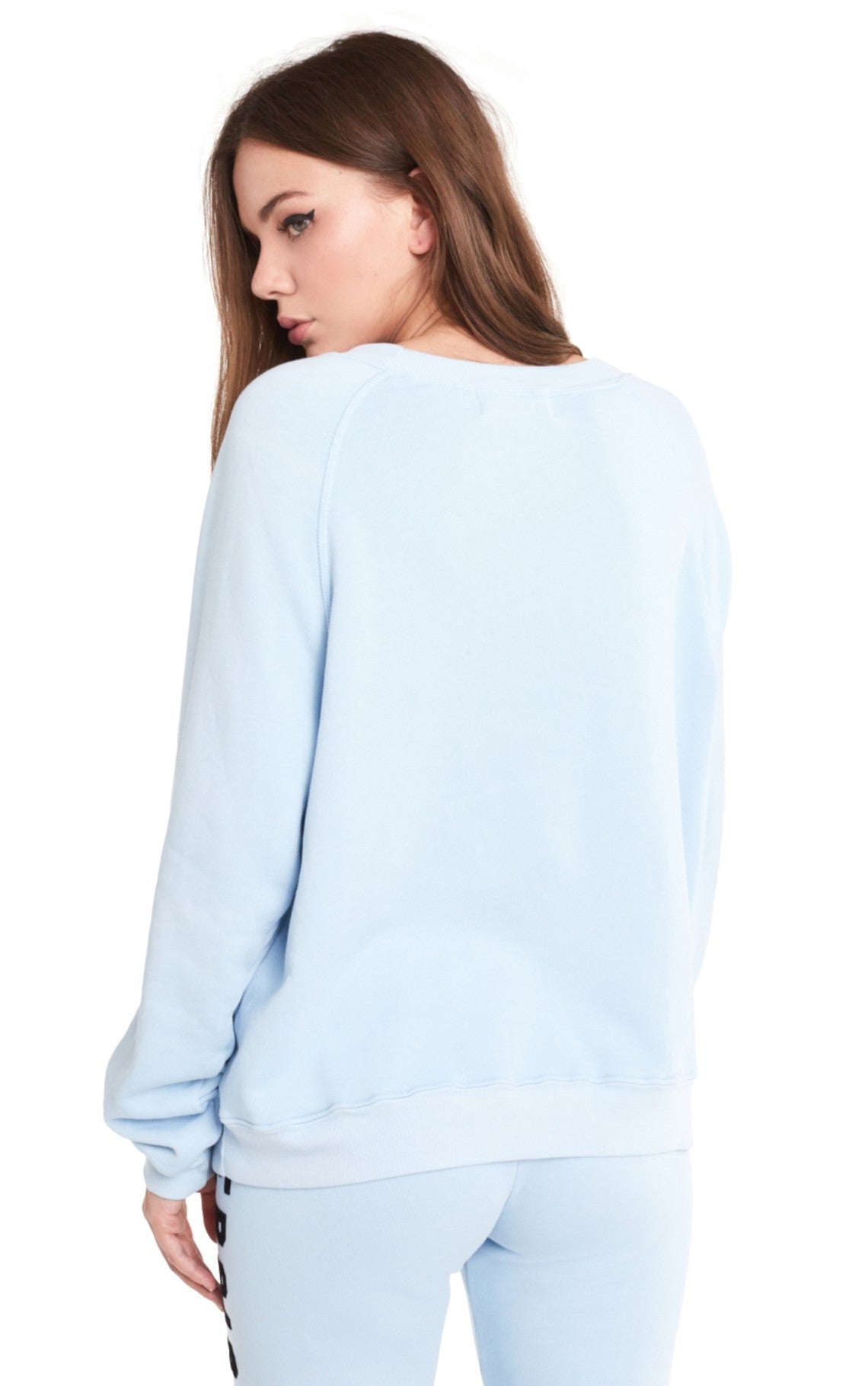 Wildfox Exersighs Sommers Sweater Blue for sale.