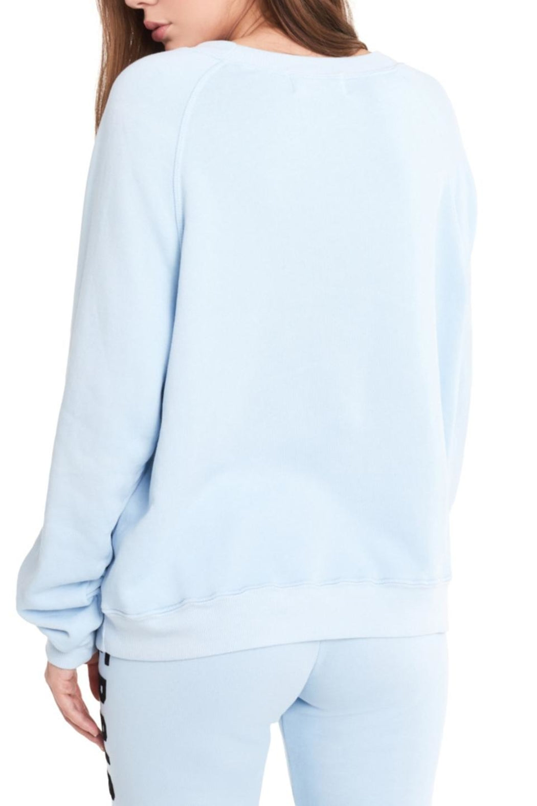 Wildfox Exersighs Sommers Sweater Blue for sale.